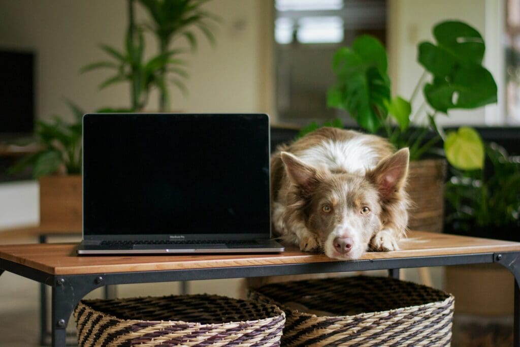 3 Stories Of Bad Developers And Founder Nightmares